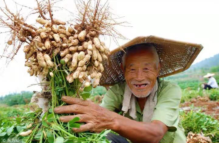 脱贫致富奔小康 文‖刘绪忱（图13）