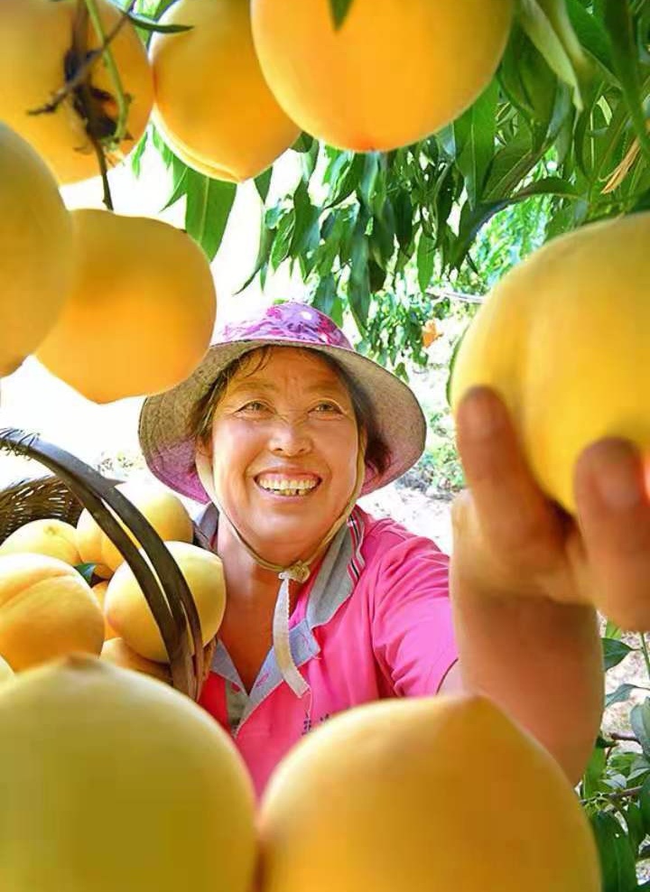 脱贫致富奔小康 文‖刘绪忱（图12）