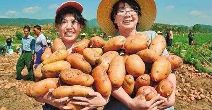 脱贫致富奔小康 文‖刘绪忱（图10）