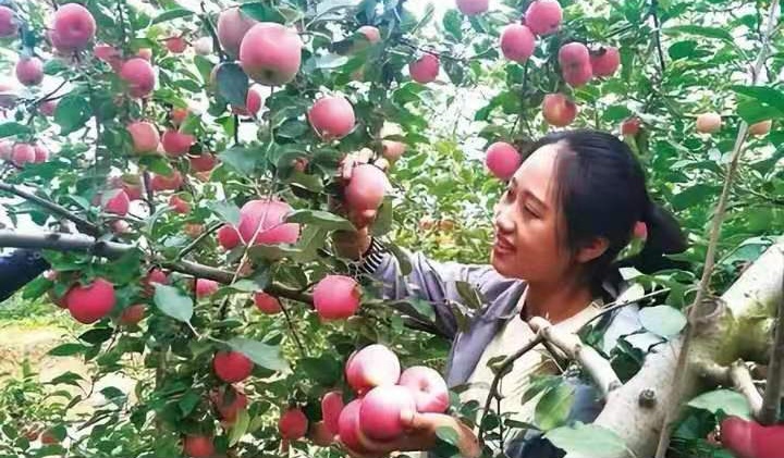 脱贫致富奔小康 文‖刘绪忱（图11）