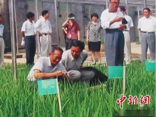 婷婷:远走天涯（图3）