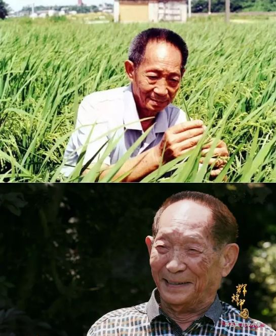 婷婷:远走天涯（图2）
