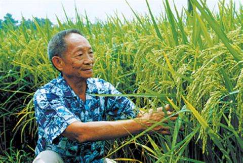 《袁公,您怎么走了呢?》作者/田园 主播/馨园小主 编辑/胡琴(图5)