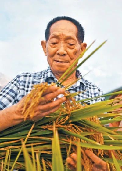 七律诗五首 文/王明谦(甘肃)(图2)