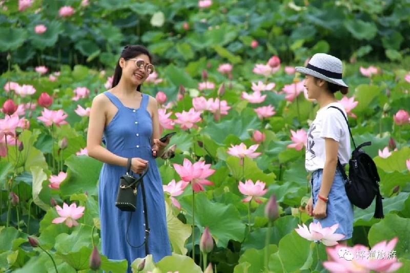《随笔》多彩的六月：文／何俊峰（陕西西安）
