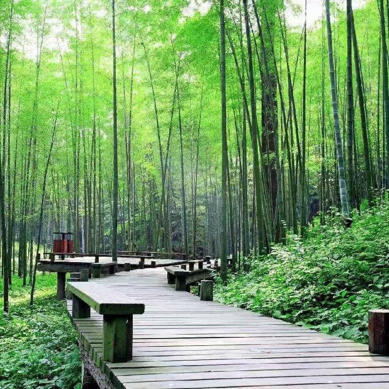 张海峰:闲侃阅读(图4)