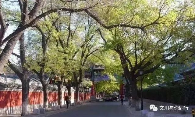 《文川对话录》文/文川［世界诗人名人展］（2312）（图4）