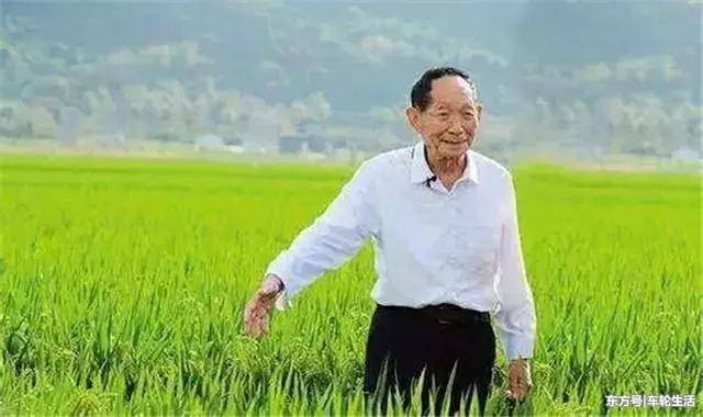 【潇湘文学社】潇湘紫竹诗社《悼念袁隆平院士》(图10)