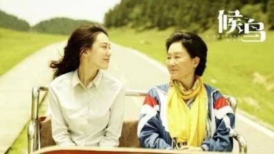 《影评》候鸟:亲情与母爱的伟大力量:评论员/何俊锋(陕西西安)(图11)