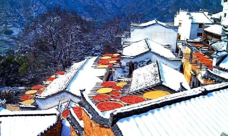 【祥云总社2021专辑总第218期】宫保红现代诗精选集（二）（图7）