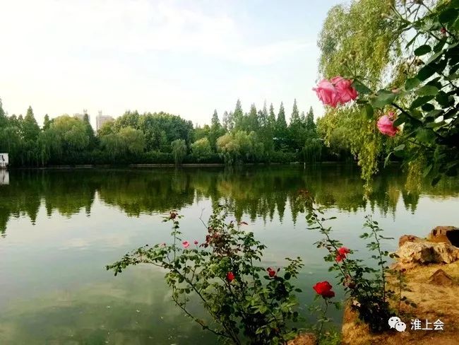 《一叶知夏》(外二首)作者:高武扬