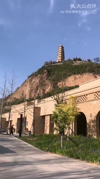 百年恰似风华正茂 文/蒯本标/江苏滨海/南京头条（图4）