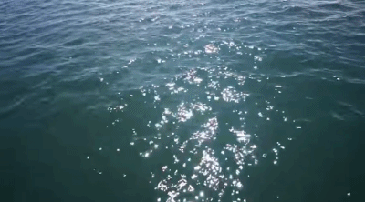 沉思的浪花（外一首）文‖苏珊（图8）