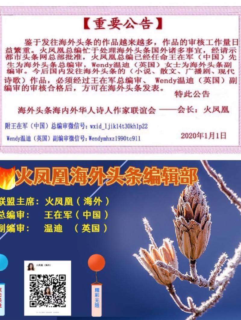 陌上花开老师倾情演绎雪莲君老师的作品:天堂的距离|海外头条(图8)