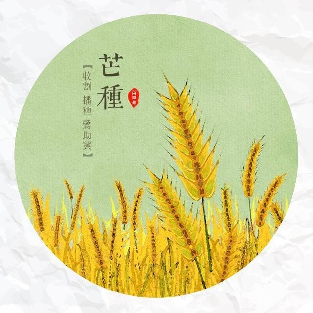 【潇湘文学社】潇湘紫竹诗社《随吟》(图11)