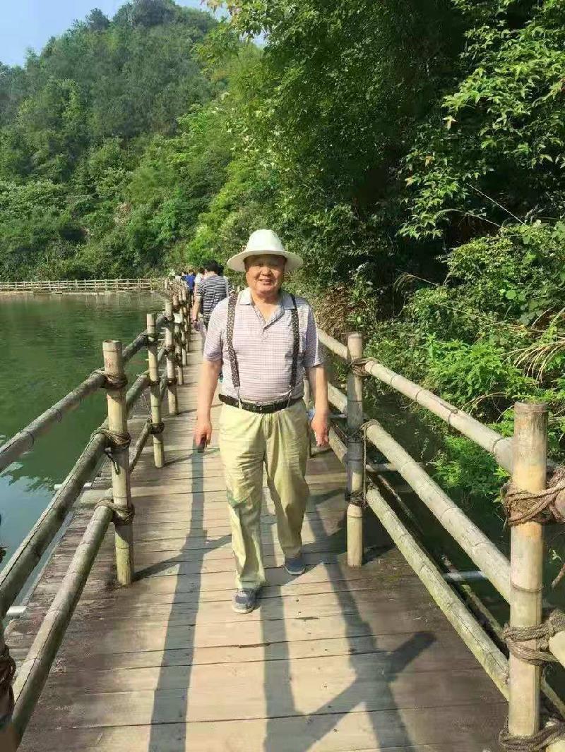 卢会生（山西） 古风* 咏四君子 【冰心文化传媒】（图3）