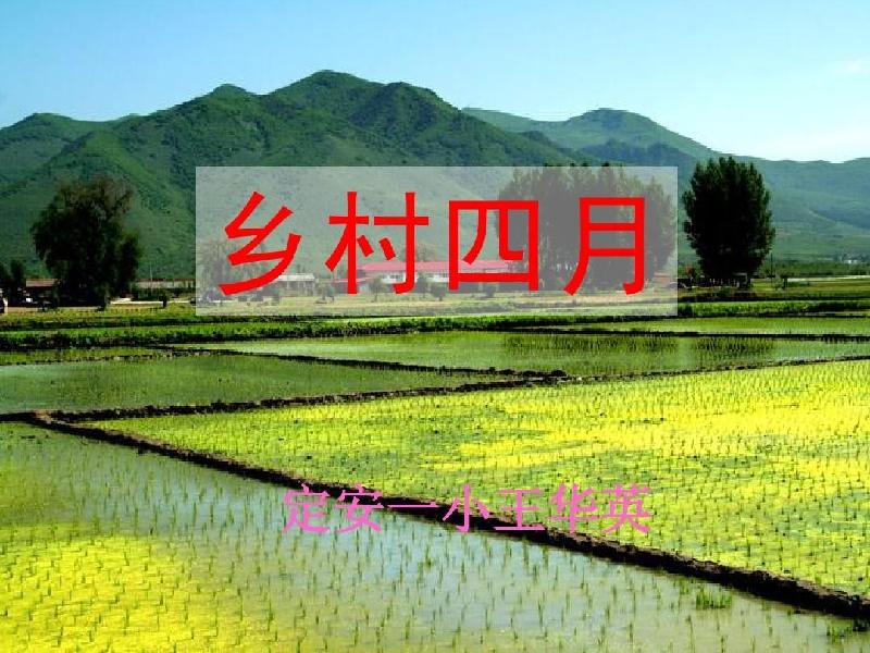 《四月的乡村》作者: 想 【金牌主播 雨中】【华人诗者联盟】朗诵专刊 总第一百六十三期（图4）