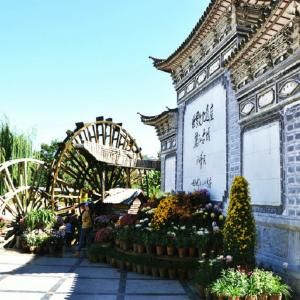 束河的早晨 作者/碑林路人 主播/小草（图6）