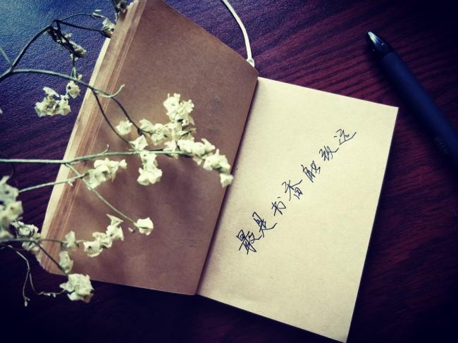 刘志军〔河北〕歌词一组 制作 冰心(甘肃)《冰心文化传媒》(图5)