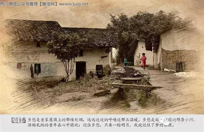 【潇湘文学社】潇湘如兰诗社《乡愁》(图8)
