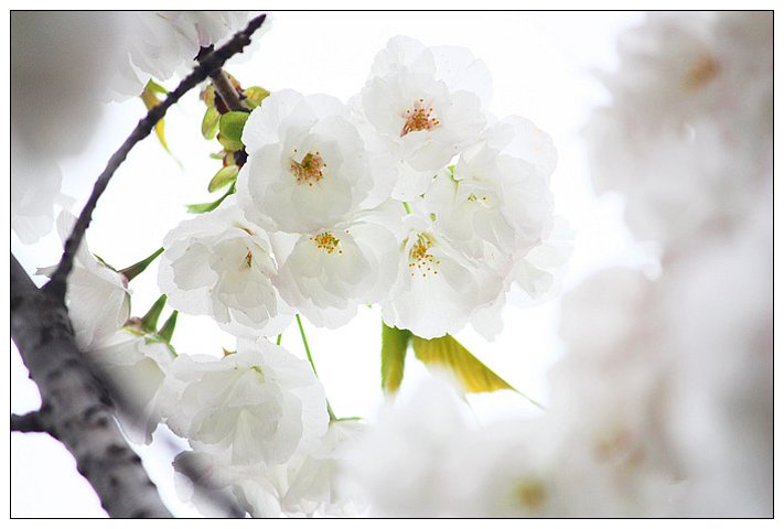 《江南诗絮古韵飘香》0144(图22)