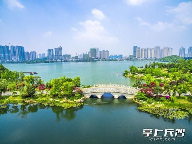 《随吟》 文/曹文有(山西)