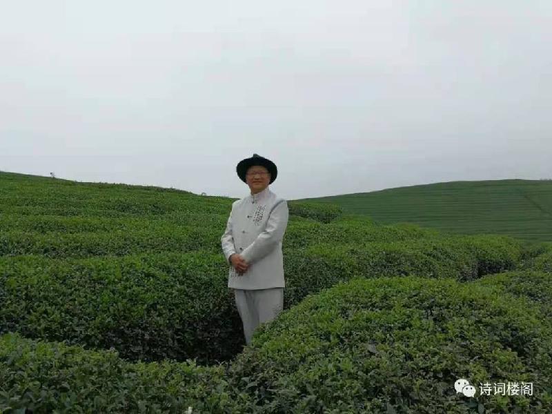 端午时节 文/荷塘（图4）