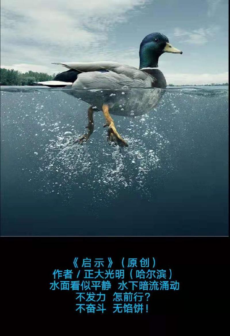 【 题图微诗一组 】 (原 创) 作者/正大光明(哈尔滨)(图3)