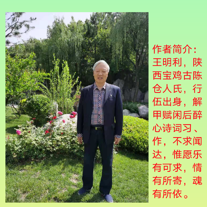 卜算子 . 寻荷（外二阕） 词/王明利（图5）