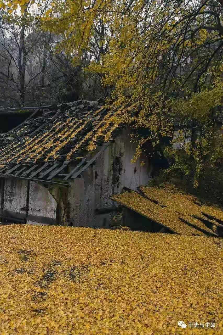 寰俊鍥剧墖_20210614102546.jpg