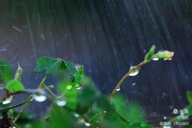 夜雨敲窗,诗友唱和