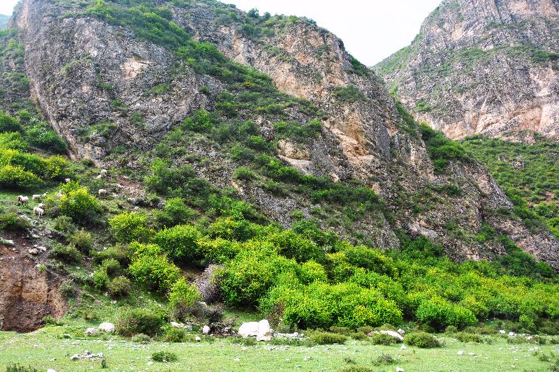 杨永春: 灵秀华石山,景美经房湾(图28)