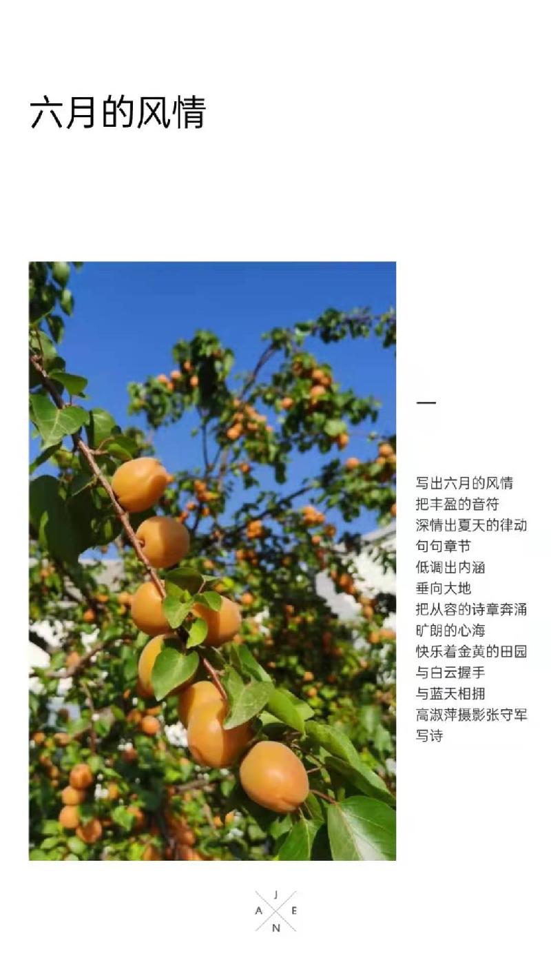 温暖绽放的诗情之三‖作者：张守军(沧州)（图4）
