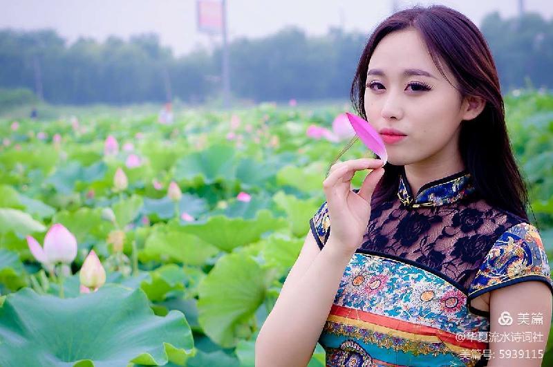 《西湖朵朵，小小流水唱和咏荷76词》华夏流水诗词社主办（图19）