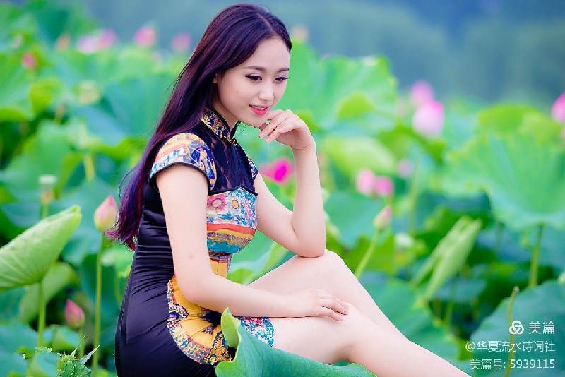 《西湖朵朵，小小流水唱和咏荷76词》华夏流水诗词社主办（图21）