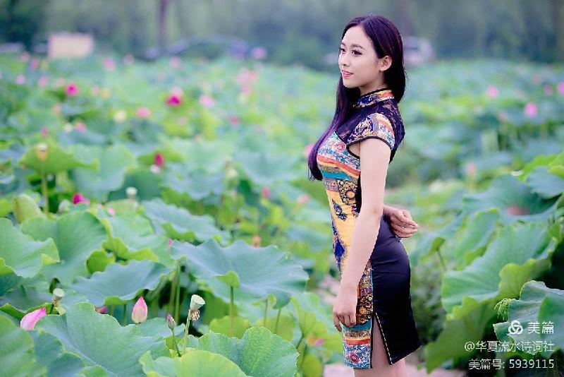 《西湖朵朵，小小流水唱和咏荷76词》华夏流水诗词社主办（图31）