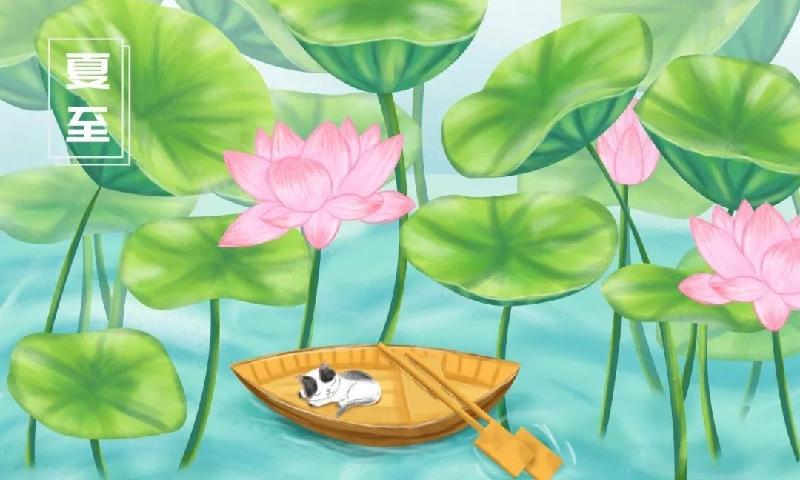 【潇湘文学社】潇湘陶菊诗社《夏至》（图6）