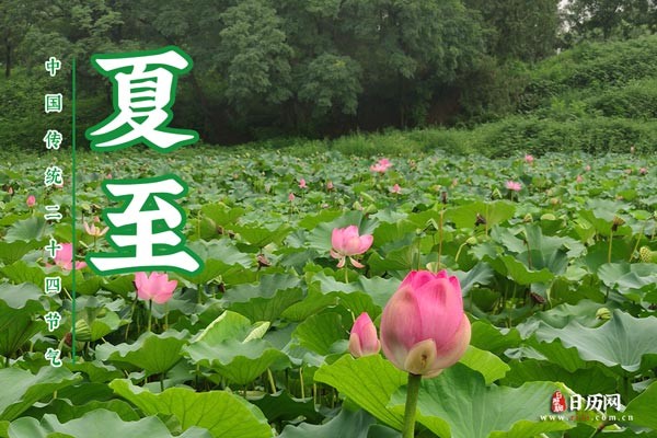 【潇湘文学社】潇湘陶菊诗社《夏至》（图22）