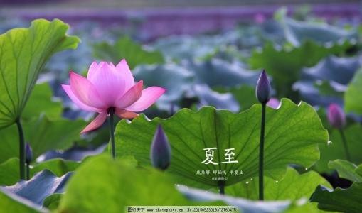 《想到就说》夏至,日光长至:文/何俊锋(陕西西安)(图3)