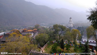 春语芳华:武台山（图3）