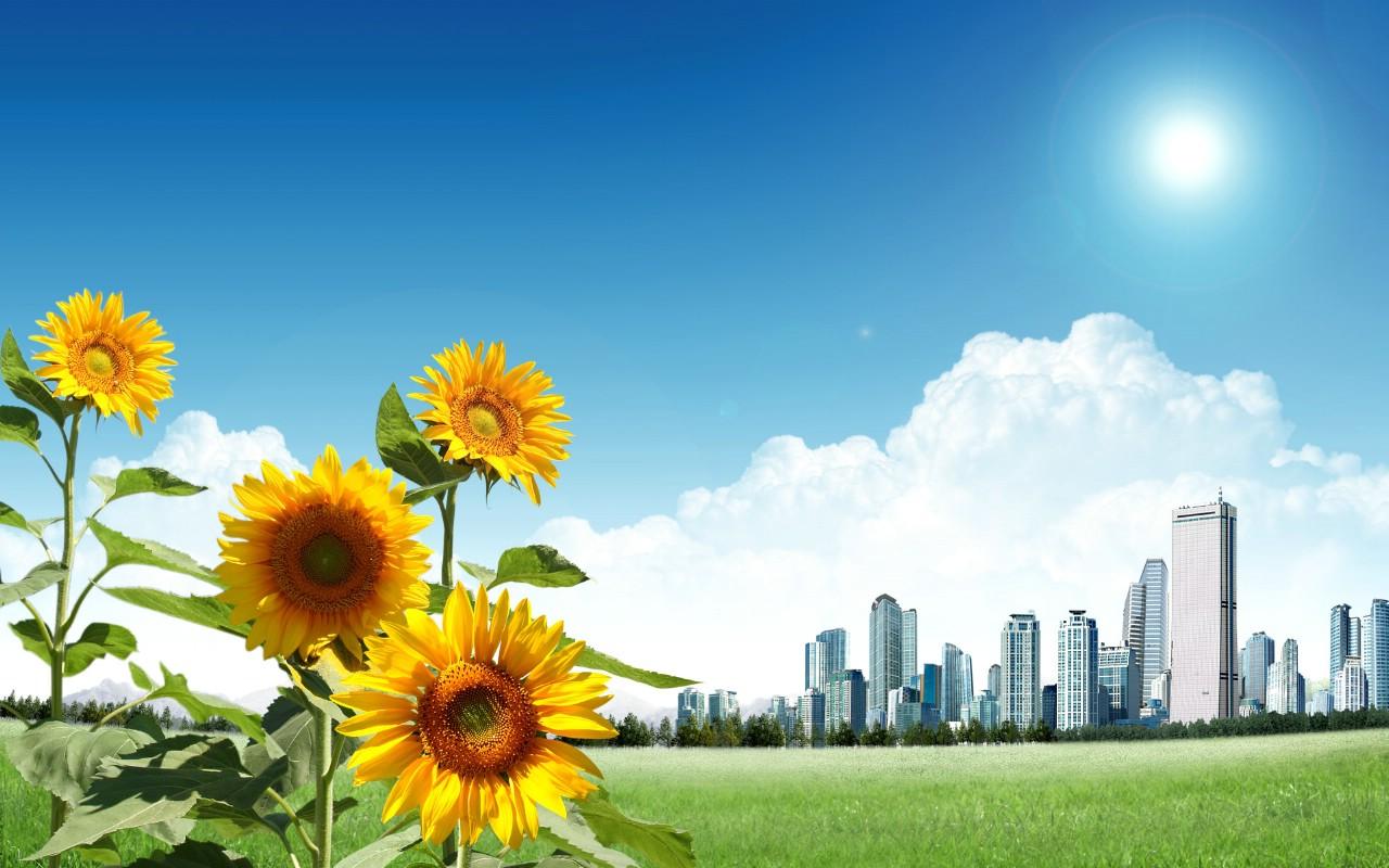 1625096784290054953.jpg src=http_%2F%2Fpic1.bbzhi.com%2Ffengjingbizhi%2Fyangguangcanlandexiatian%2Fnature_summer_fantasy_landscapes_492638_9.jpg&refer=http_%2F%2Fpic1.bbzhi.jpg