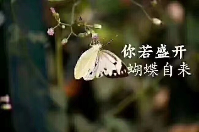 张永萍:拷问生活(图3)