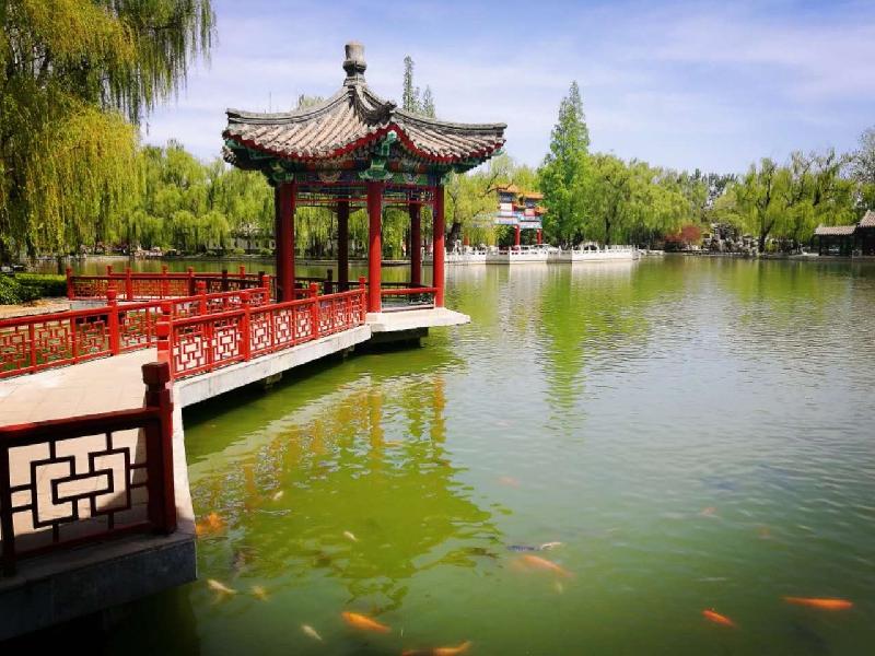 《说长道短》烟雨之城 洗静浮躁:文/何俊锋(陕西西安)(图8)