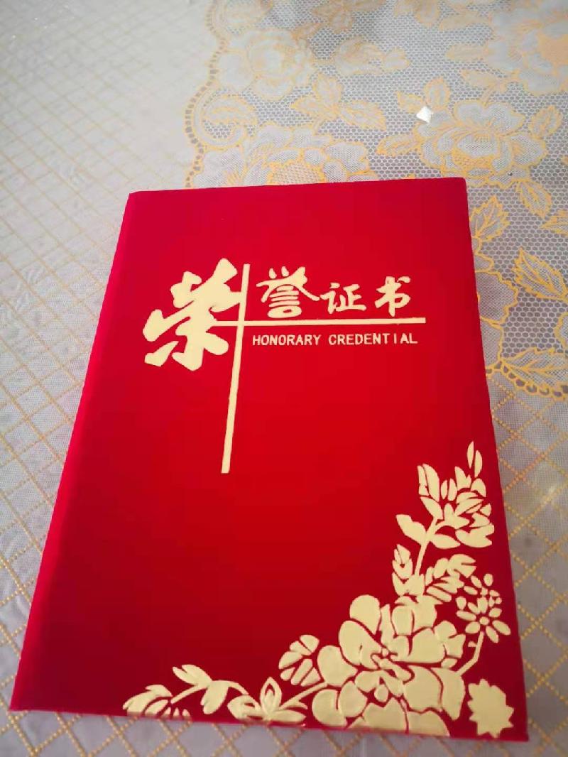 威海市老年体育协会举办2021年首次《唱响红歌大赛》庆祝建党百年华诞文艺汇演! 纪实/编辑/孙秀梅(图10)