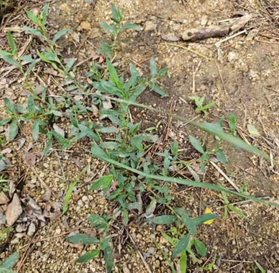 095103467.png image.png