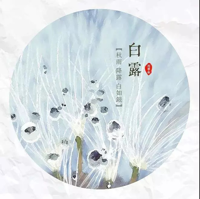 孤馆深沉·白露凝香 词/清莲子
