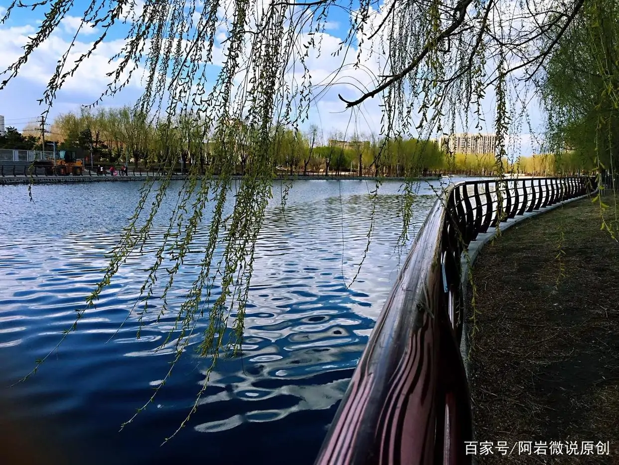《随笔》年末岁首话沧桑:作者/景明虎(陕西西安)(图2)
