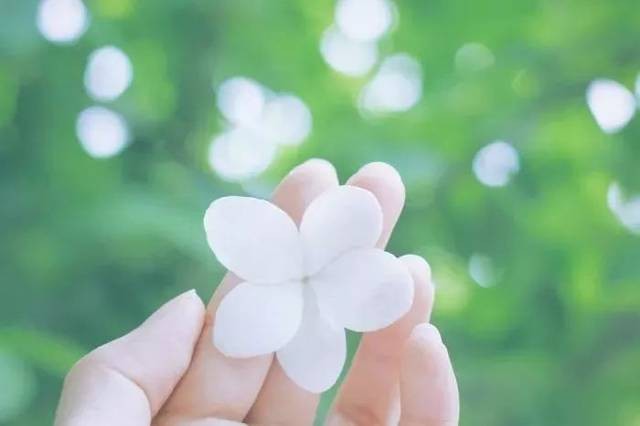 巜静看花开花落, 时光温暖如初》 文/独一无二〔山西〕外一首【冰心文化传媒】(图7)