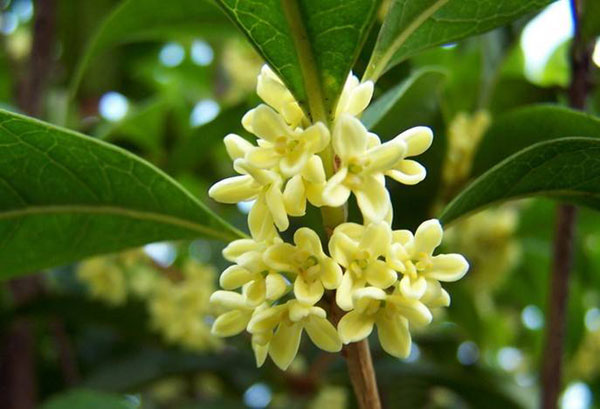 image.biaobaiju-1610146401442.