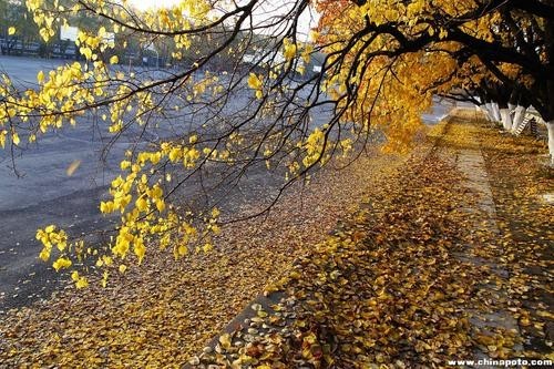 [桃源馨声]秋色/作者:八药煎熬|主播:涛声依旧[总858期]（图7）